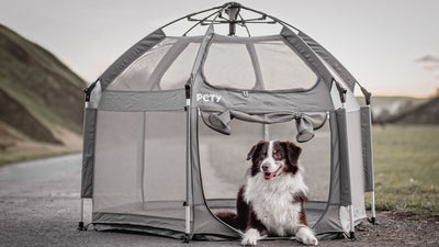 Faltbarer Hundelaufstall vs. Metall-Laufgitter – Vor- und Nachteile im Vergleich