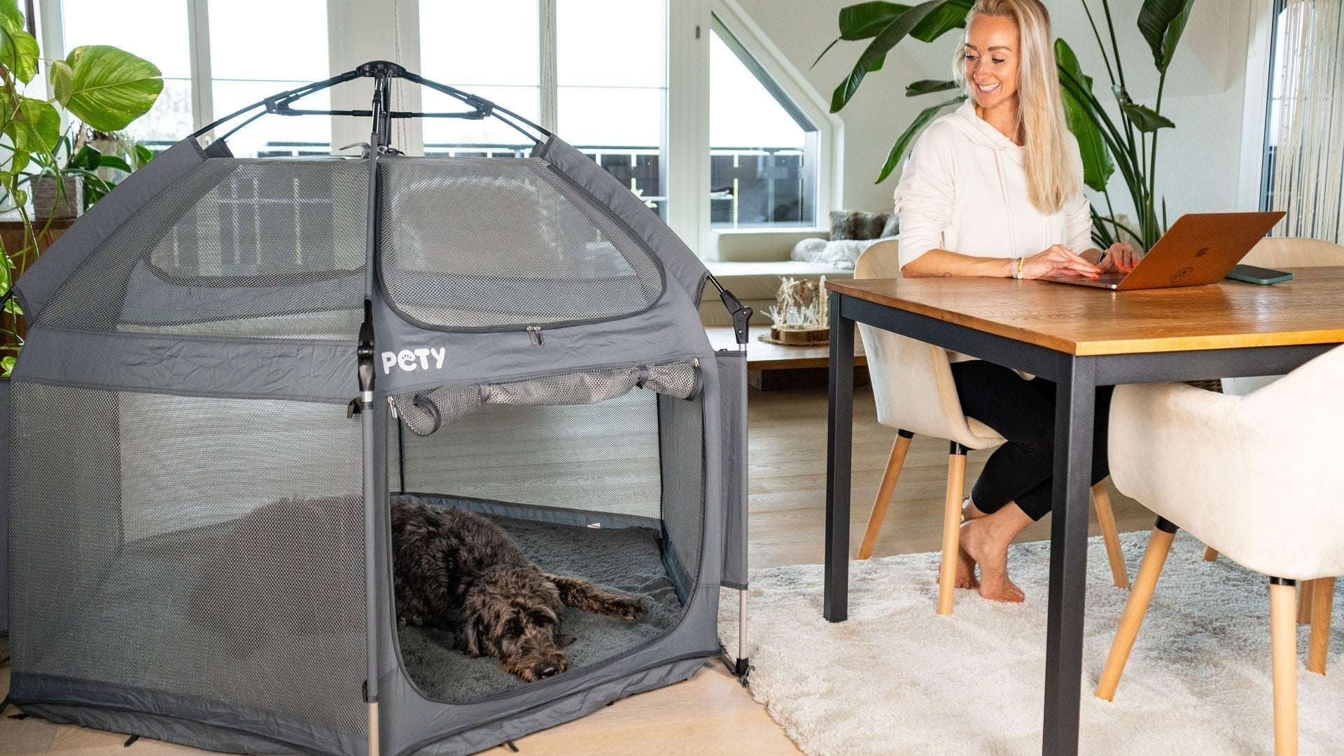 Hund im Homeoffice – So schaffst du Ruhe und Struktur im Alltag