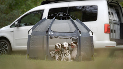 Camping mit Hund: Must-haves für entspannte Outdoor-Abenteuer