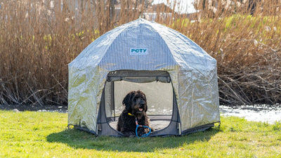 Hund im Sommer schützen: Kühle und sichere Rückzugsorte