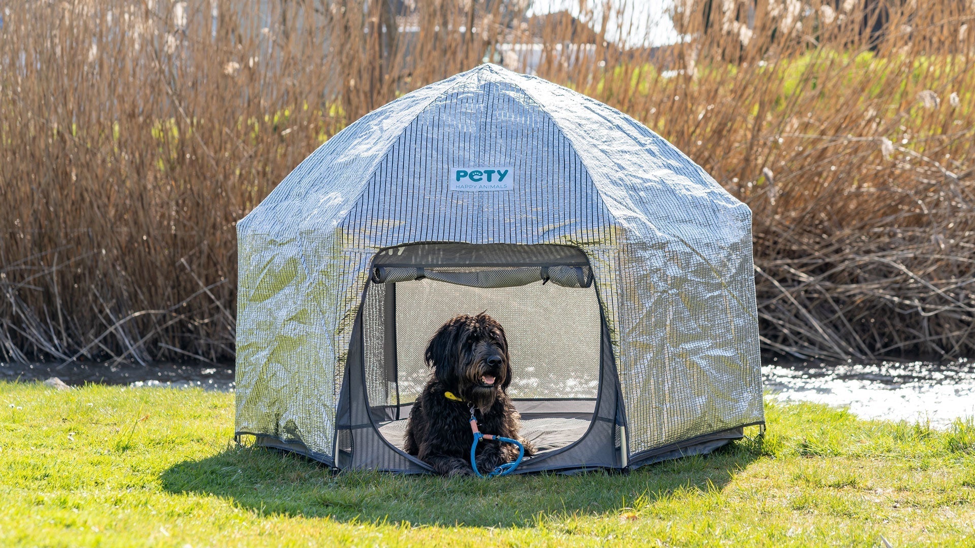 Hund im Sommer schützen: Kühle und sichere Rückzugsorte