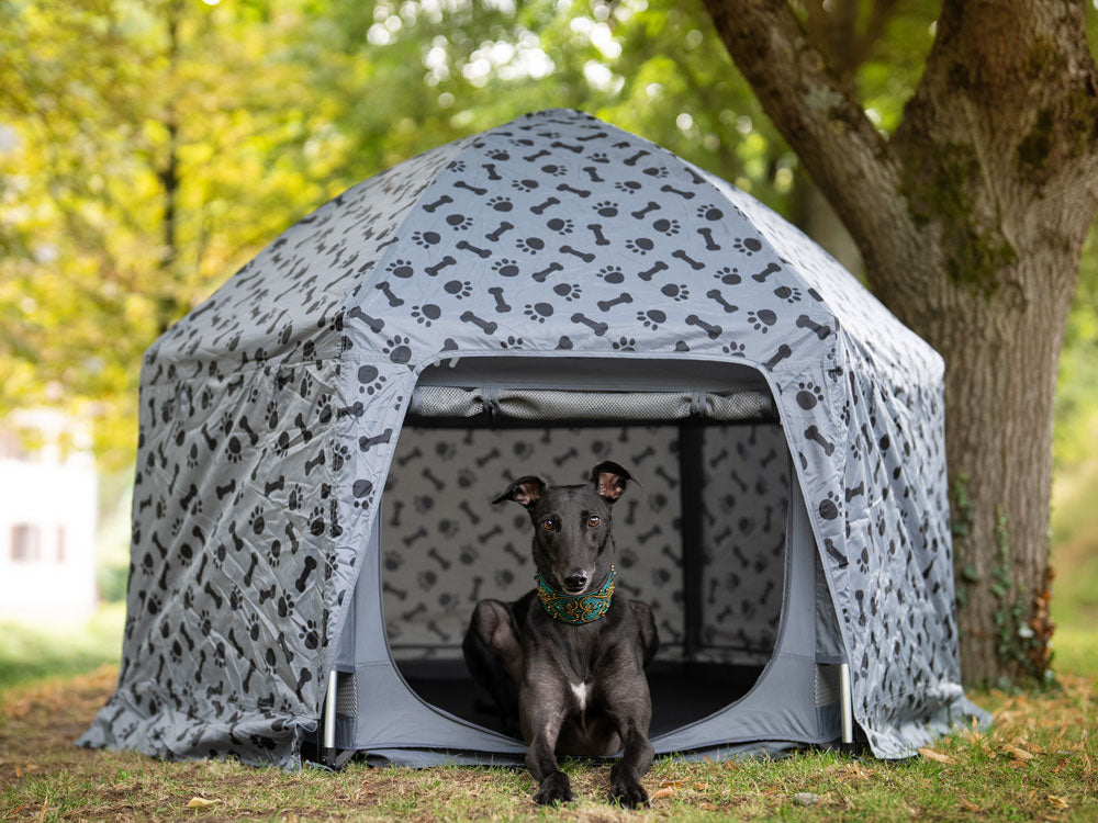 Ein schwarzer Hund im mobilen Hundelaufstall von PETY mit Abdeckung Plus