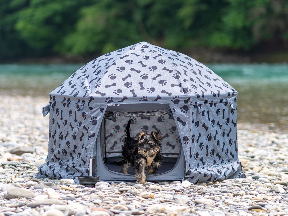 Ein Hund steht im kleinen PETY Hundelaufstall mit der Abdeckung Plus vor einem Fluss