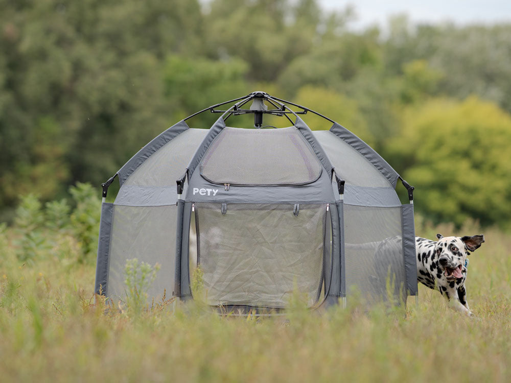 Ein Dalmatiner neben dem PETY Hundelaufstall auf einer Wiese