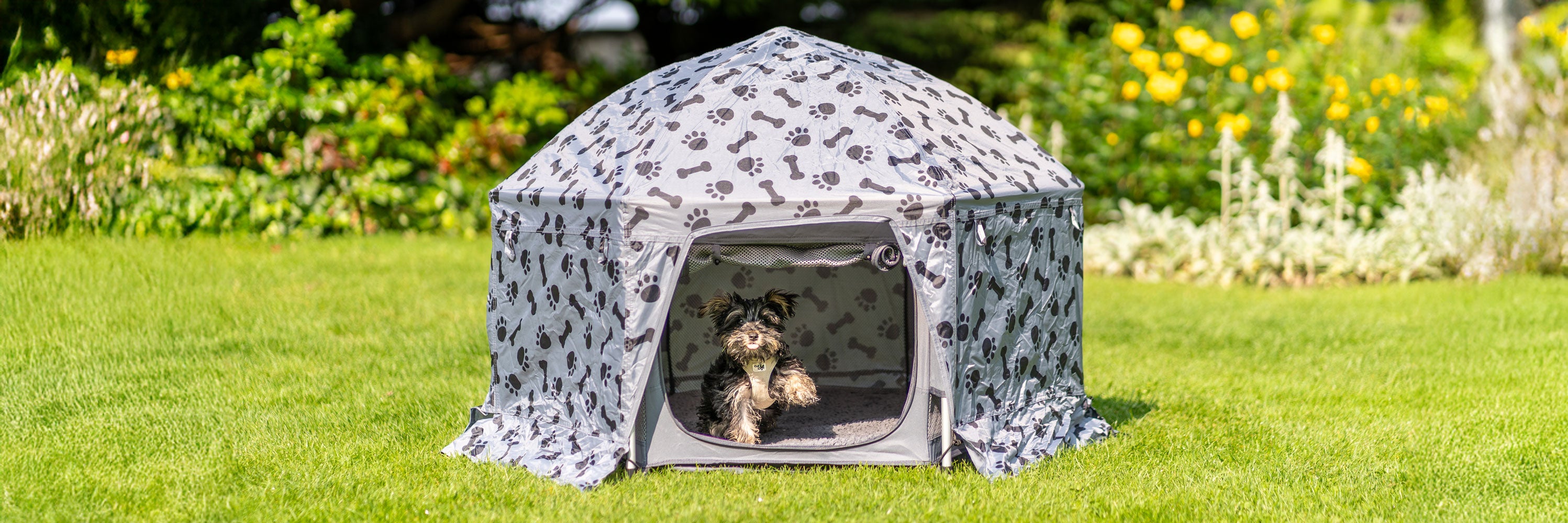 Ein kleiner Hund steht im PETY Hundelaufstall mit der Abdeckung Plus
