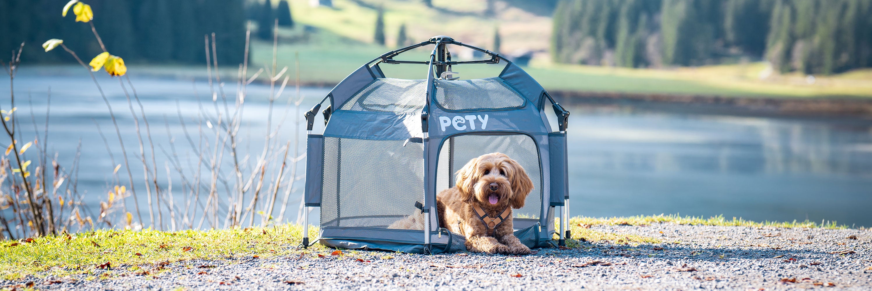 Ein Hund liegt im mobilen Laufstall von PETY vor einem See