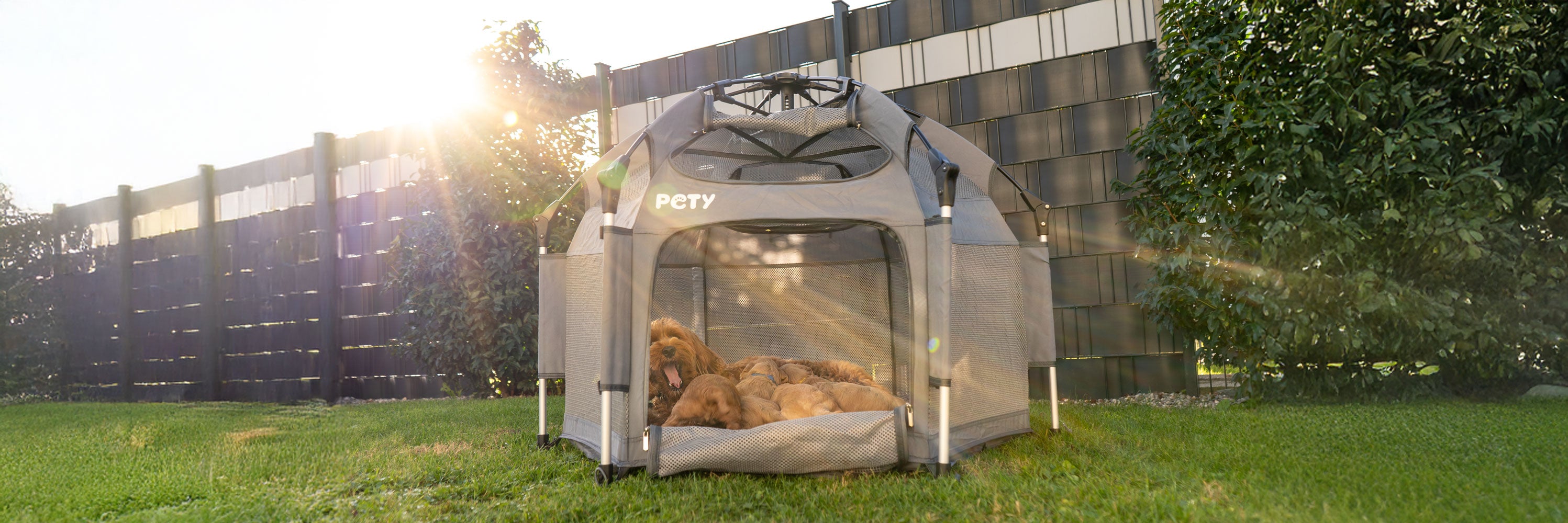 Ein Hund liegt mit Welpen im kleinen PETY Hundelaufstall während die Sonne ins Bild scheint