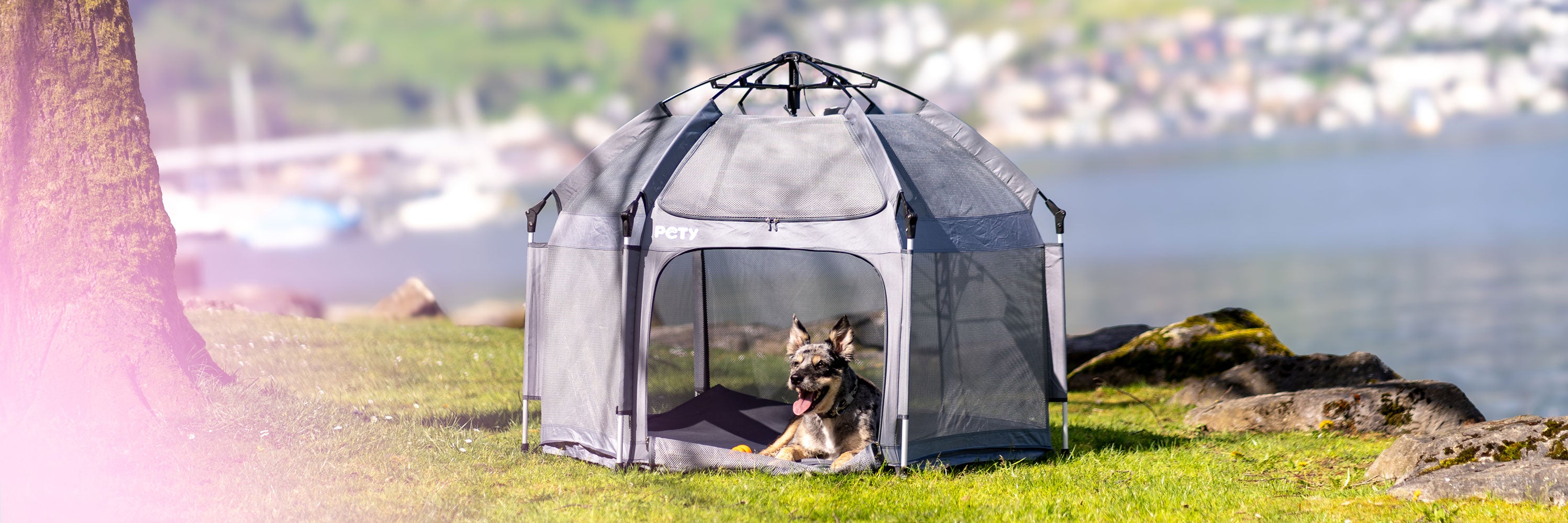 Hund liegt im mobilen Laufstall von PETY auf einer grünen Wiese