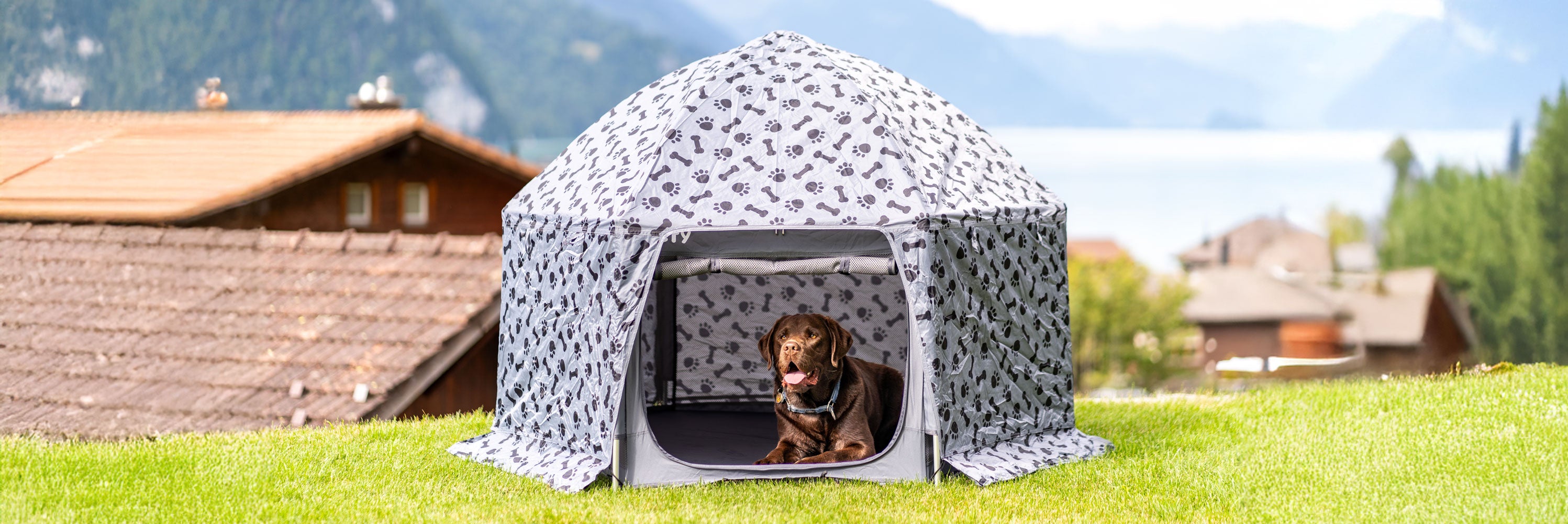 Brauner Labrador im PETY Hundelaufstall mit Abdeckung Plus vor einem See
