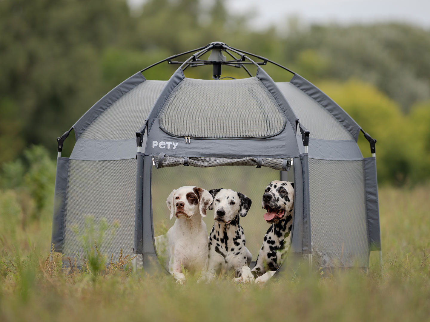 Drei Hunde liegen im großen PETY Laufstall