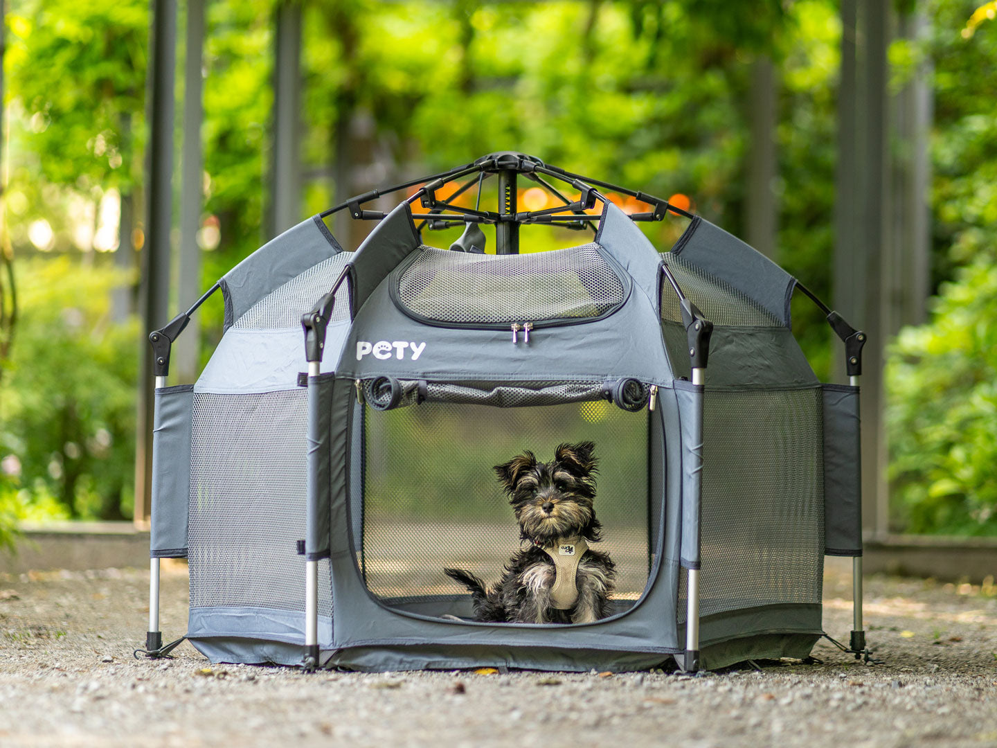 Ein kleiner Hund sitzt im mobilen Laufstall von PETY vor einem grünen Hintergrund