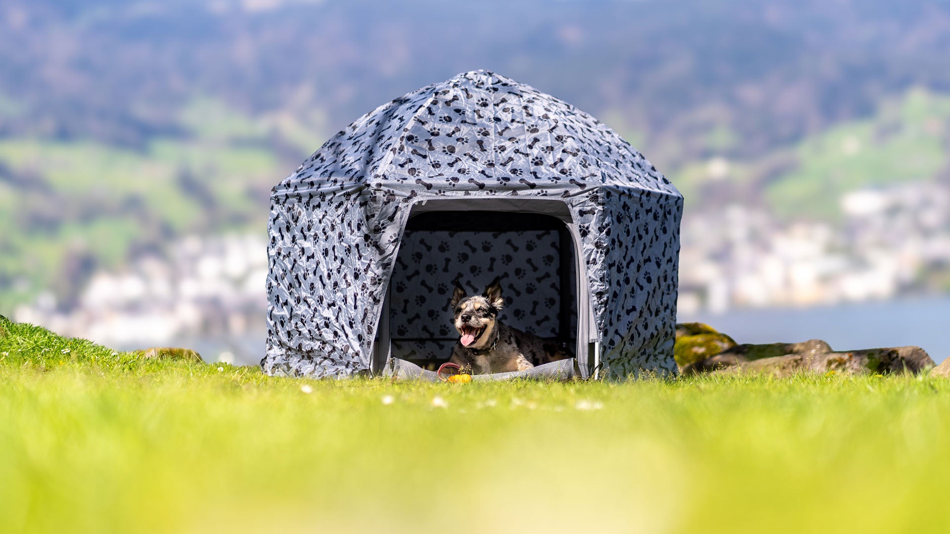 Hund im mobilen Laufstall PETY mit Abdeckung Plus auf einer Wiese